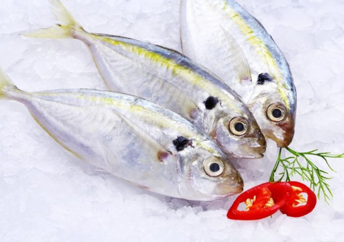 Omega 3 trong cá là một acid béo không no rất cần thiết cho cơ thể con người