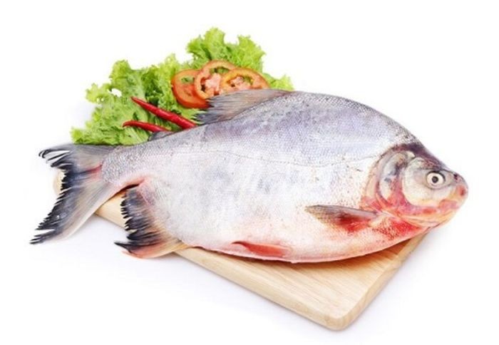 Loại cá này từ lâu đã được biết đến là chứa nhiều dinh dưỡng có lợi cho sức khỏe con người