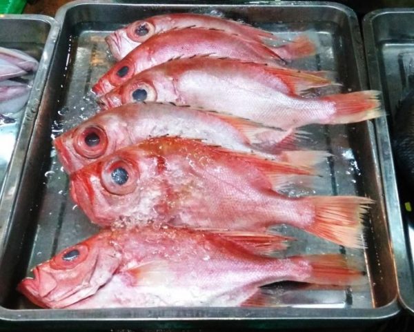 Cá Mắt Kiếng (Cá Bã Trầu) - Hải Sản Trung Nam
