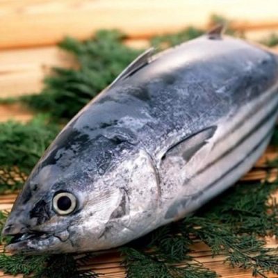 Cá ngừ sọc dưa là loại thực phẩm chứa ít chất béo nhưng lại giàu hàm lượng protein