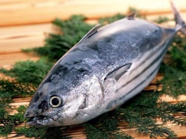 Cá ngừ sọc dưa là loại thực phẩm chứa ít chất béo nhưng lại giàu hàm lượng protein
