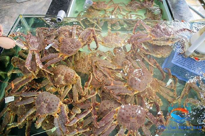 Cua Hoang De King Crab
