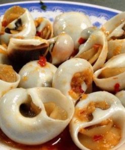 Ốc mỡ lồi (ốc mỡ trắng) 13 Ốc mỡ lồi (ốc mỡ trắng) sốt cay là đặc sản được rất nhiều người yêu thích