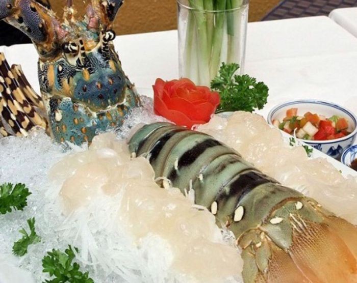 Tôm hùm bông là nguyên liệu làm sashimi