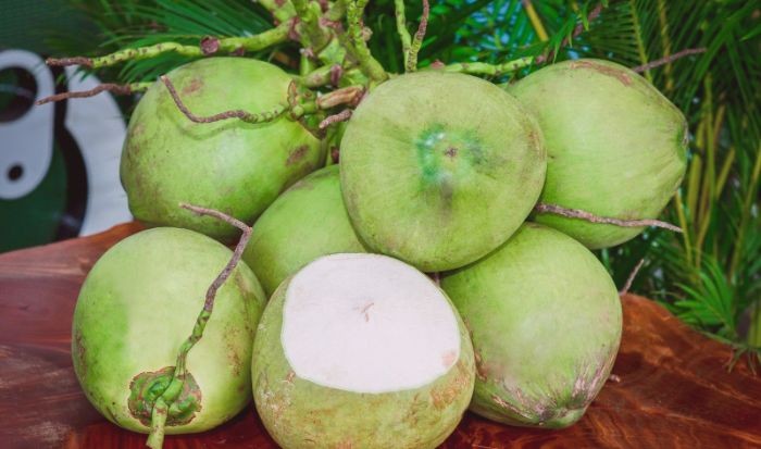 Dừa tươi là là nguyên liệu làm tôm hùm hấp nước dừa