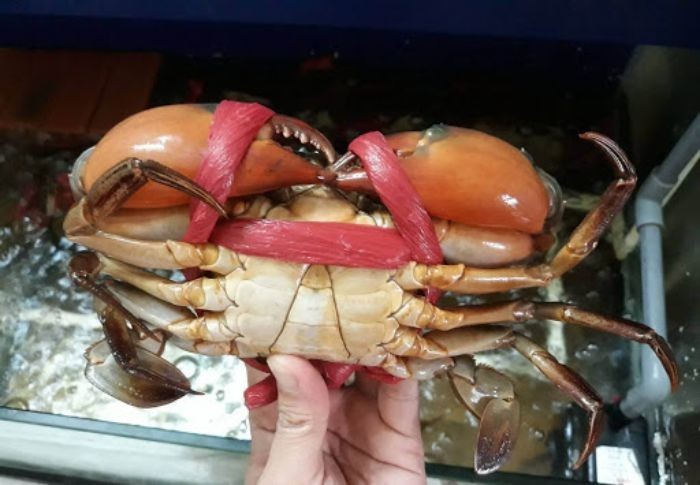 Cách làm cua Cà Mau rang me cực ngon tại nhà 1 Cach Lam Cua Ca Mau Rang Me 01