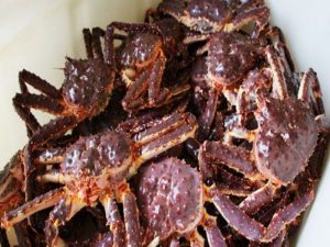 Cach Lam Cua Hoang De Sot Bo Toi 1 1