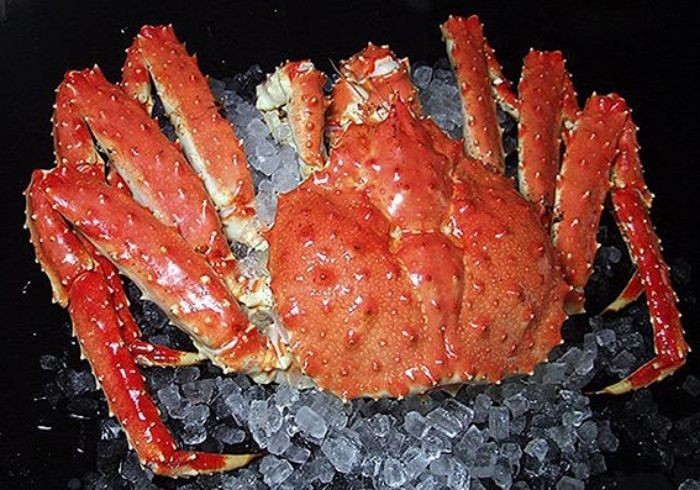Cua hoàng đế đông lạnh có ngon không? 1 Cua Hoang De Dong Lanh Co Ngon Khong 1