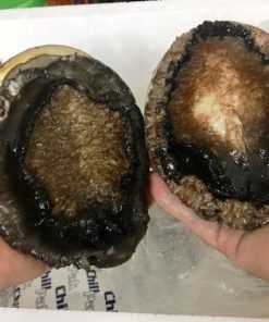 Nếu bạn có nhu cầu tìm mua bào ngư thì hãy đến với Hải Sản Trung Nam 