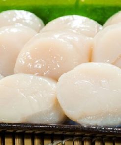 Cồi sò điệp chứa hàm lượng dinh dưỡng cao