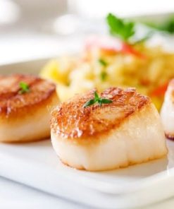Cồi sò điệp Canada còn có chứa nhiều Vitamin A giúp sáng mắt, tăng cường thị lực