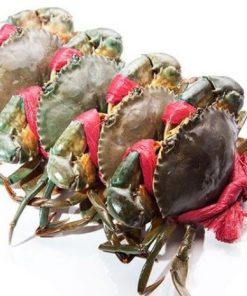 Hải Sản Trung Nam chính là địa chỉ mua các loại hải sản tươi ngon, uy tín