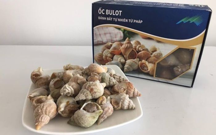 Bulot là một trong những loại ốc nổi tiếng nhất của nước Pháp hoa lệ