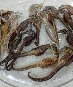 Cá ngựa khô 9 Ca Ngua Kho 3