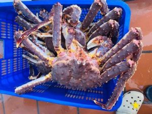 Co Nen Mua Cua Hoang De Ngop Anh Dai Dien