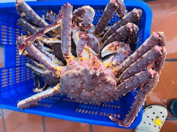 Co Nen Mua Cua Hoang De Ngop Anh Dai Dien