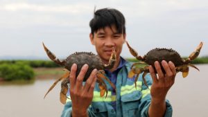 Nuoi Cua Bien Trong Be Xi Mang Anh Dai Dien