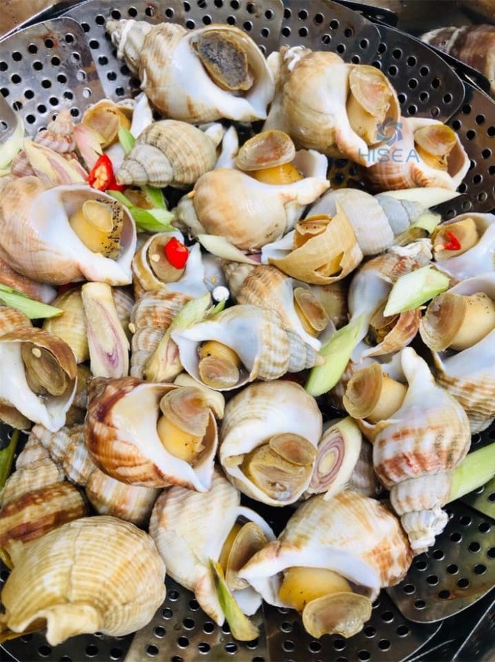 Oc Bulot Hap Chanh Sa Anh Dai Dien
