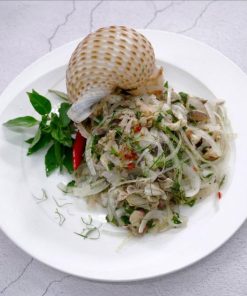Ốc giấy 10 Oc Giay 3
