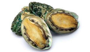bao ngu lam mon gi