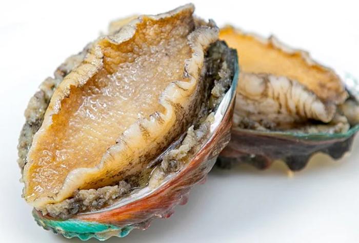Bào Ngư – Món ăn bổ dưỡng đến từ đại dương