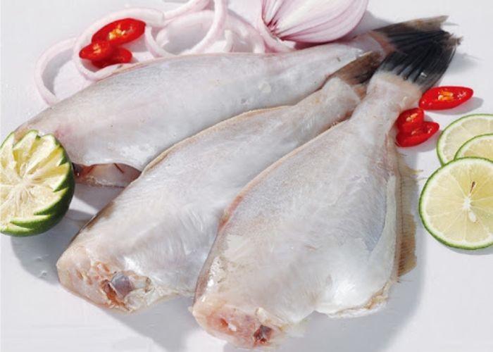 Bí quyết chọn cá da bò tươi ngon cùng Hải sản Trung Nam