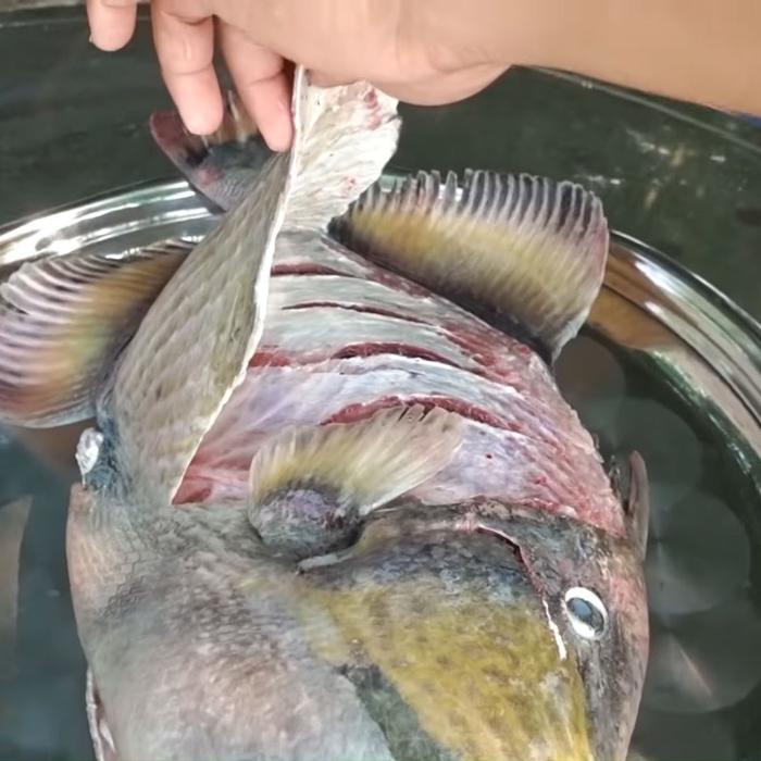 Cách sơ chế cá bò da