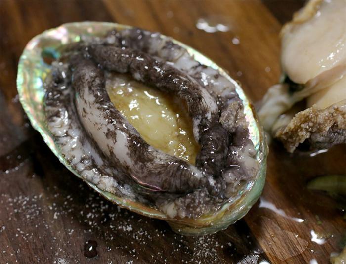 Hải Sản Trung Nam – Địa chỉ mua bào ngư uy tín