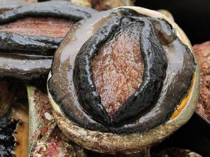 Hải sản Trung Nam – Địa chỉ tin cậy cho món súp bào ngư hải sản