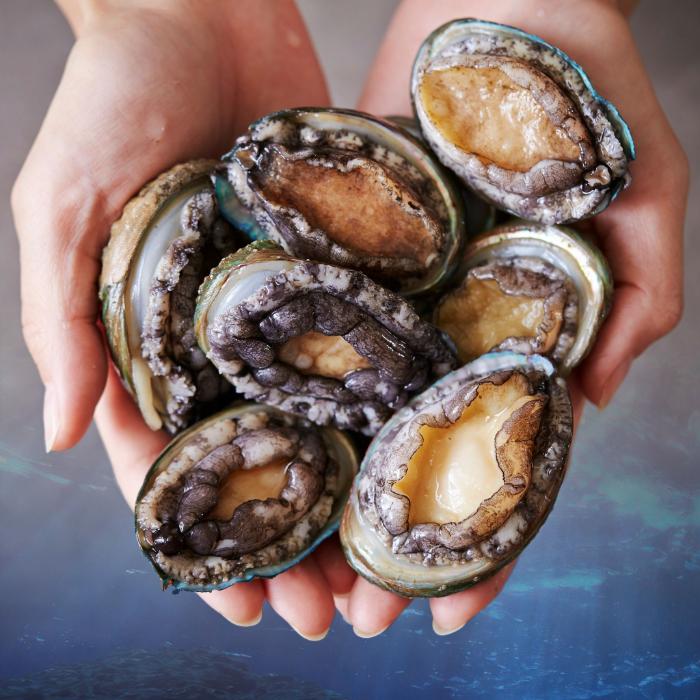 Mua bào ngư ở đâu uy tín, giá tốt?