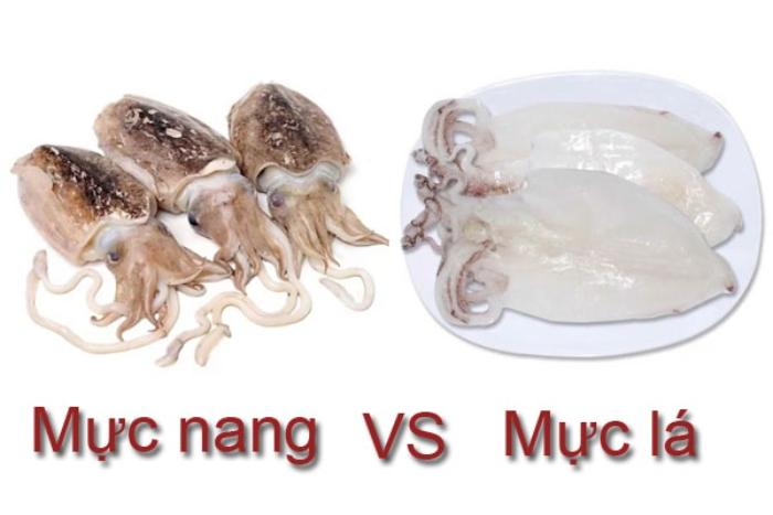 Nhu cầu tiêu thụ mực lá và mực nang tăng cao gần đây