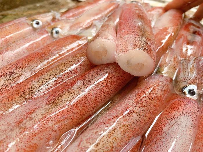 Vì sao nên chọn mua mực trứng tại Hải sản Trung Nam?