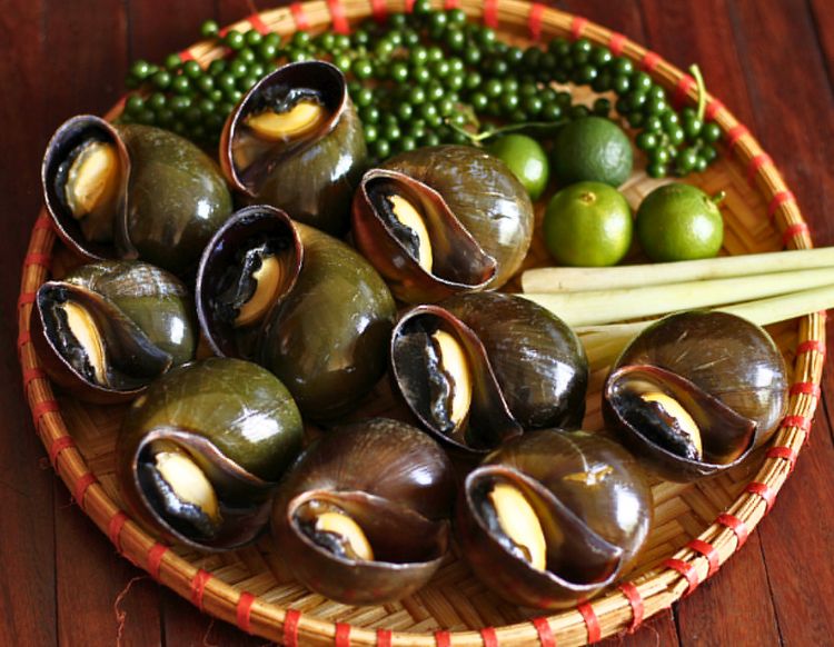 Ốc Bươu và Ốc Lác: Loài nào ngon hơn? Khám phá đặc điểm