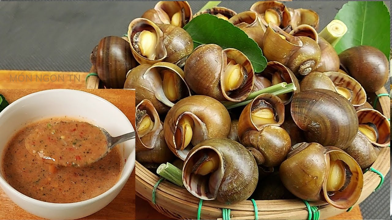  Ốc Lác Hấp Sả: Món Ngon Đậm Đà Hương Vị Việt