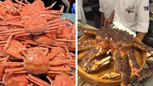 So sánh cua tuyết và cua hoàng đế