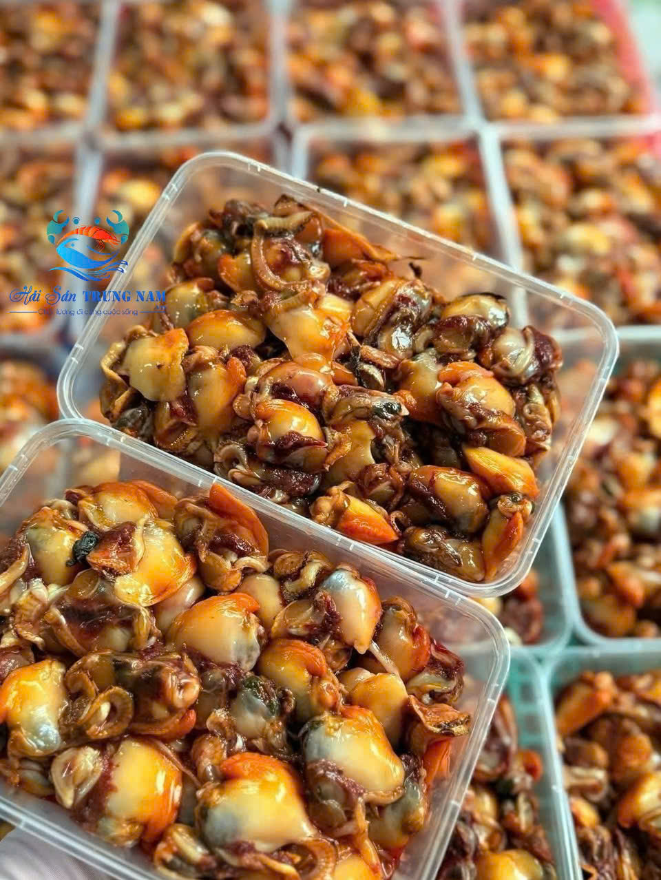 Ruột Sò lông làm sạch tươi cấp đông ( Ship Hỏa Tốc HCM ) Vì 500G 1 Ruột Sò lông làm sạch tươi cấp đông ( Ship Hỏa Tốc HCM ) Vì 500G